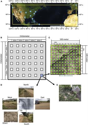 Adopt a Pixel 3 km: A Multiscale Data Set Linking Remotely Sensed Land Cover Imagery With Field Based Citizen Science Observation
